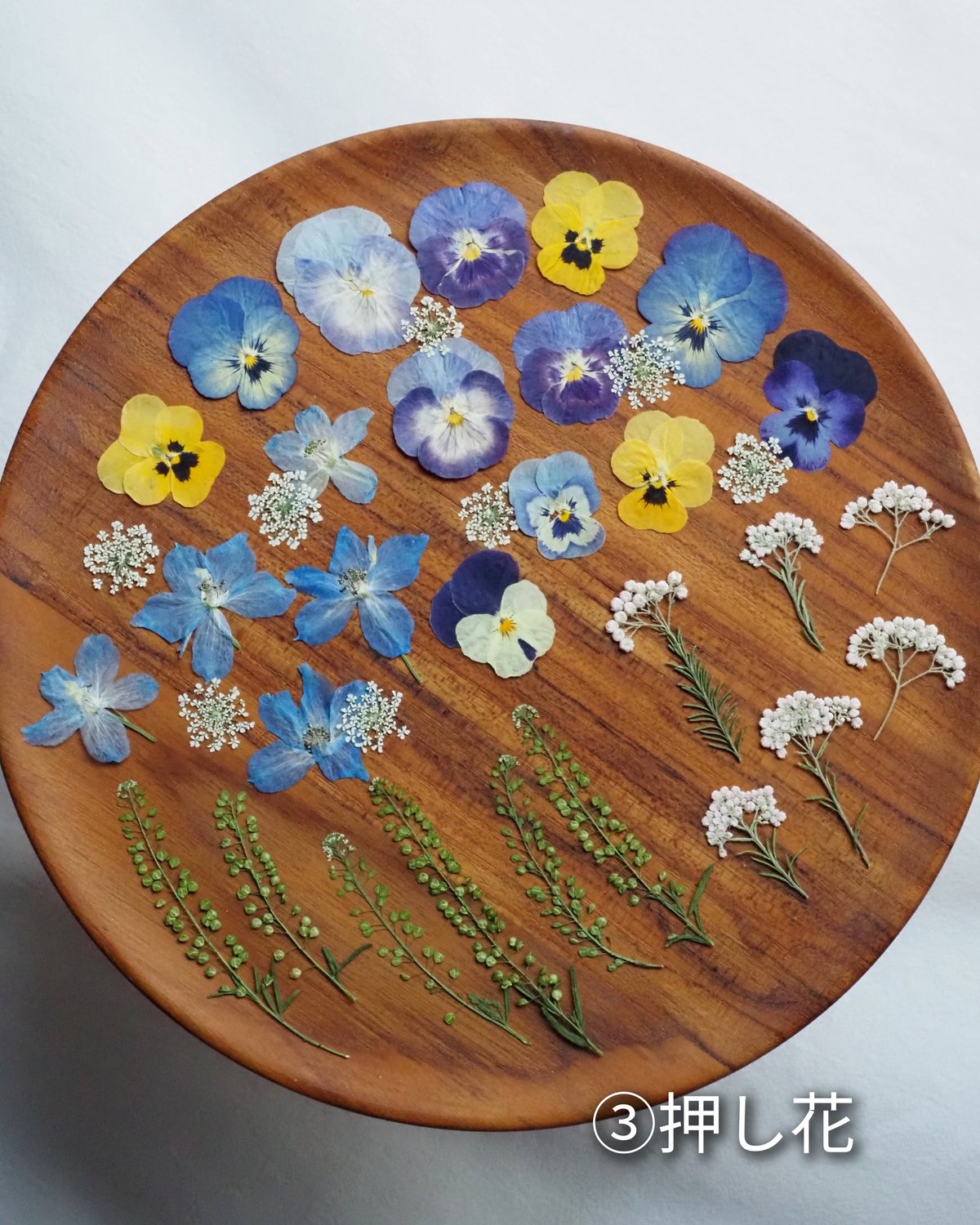 ドライフラワーの花材セット | zelkova's aroma garden