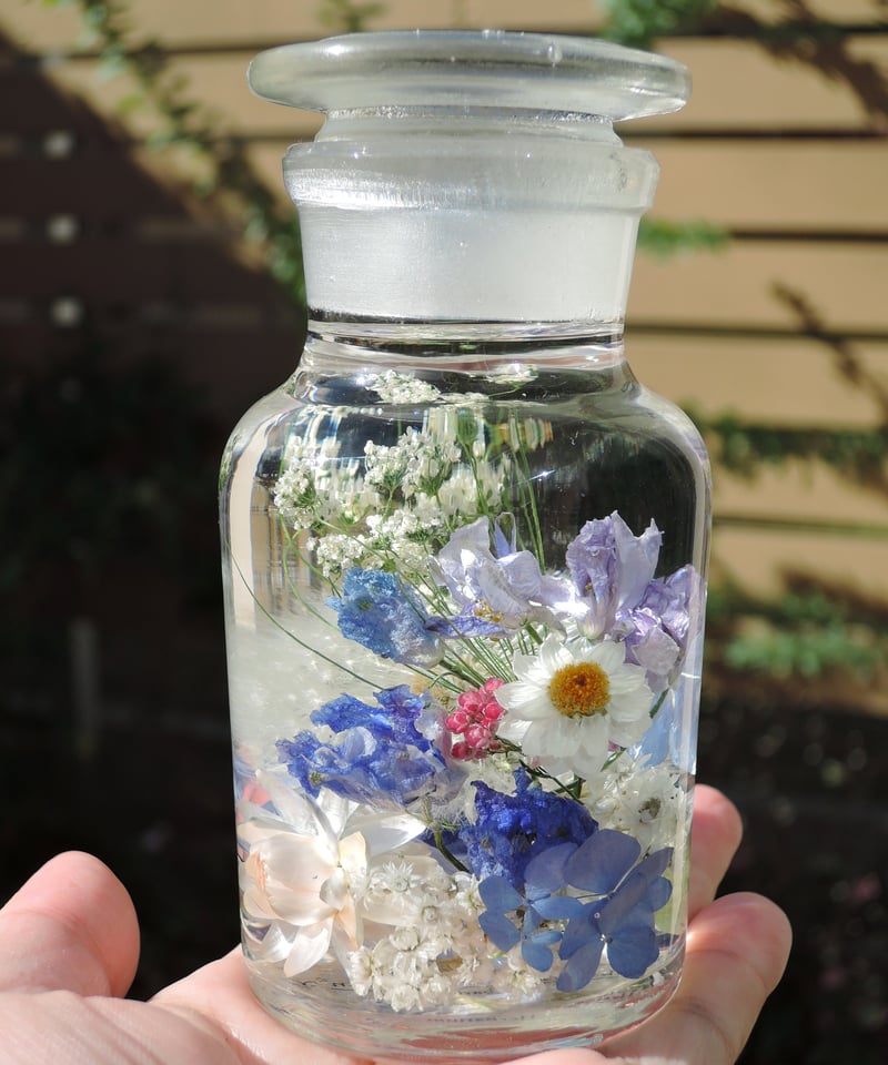 ふわふわタンポポハーバリウム 受注制作】たんぽぽハーバリウム™（青系） | zelkova's aroma garden