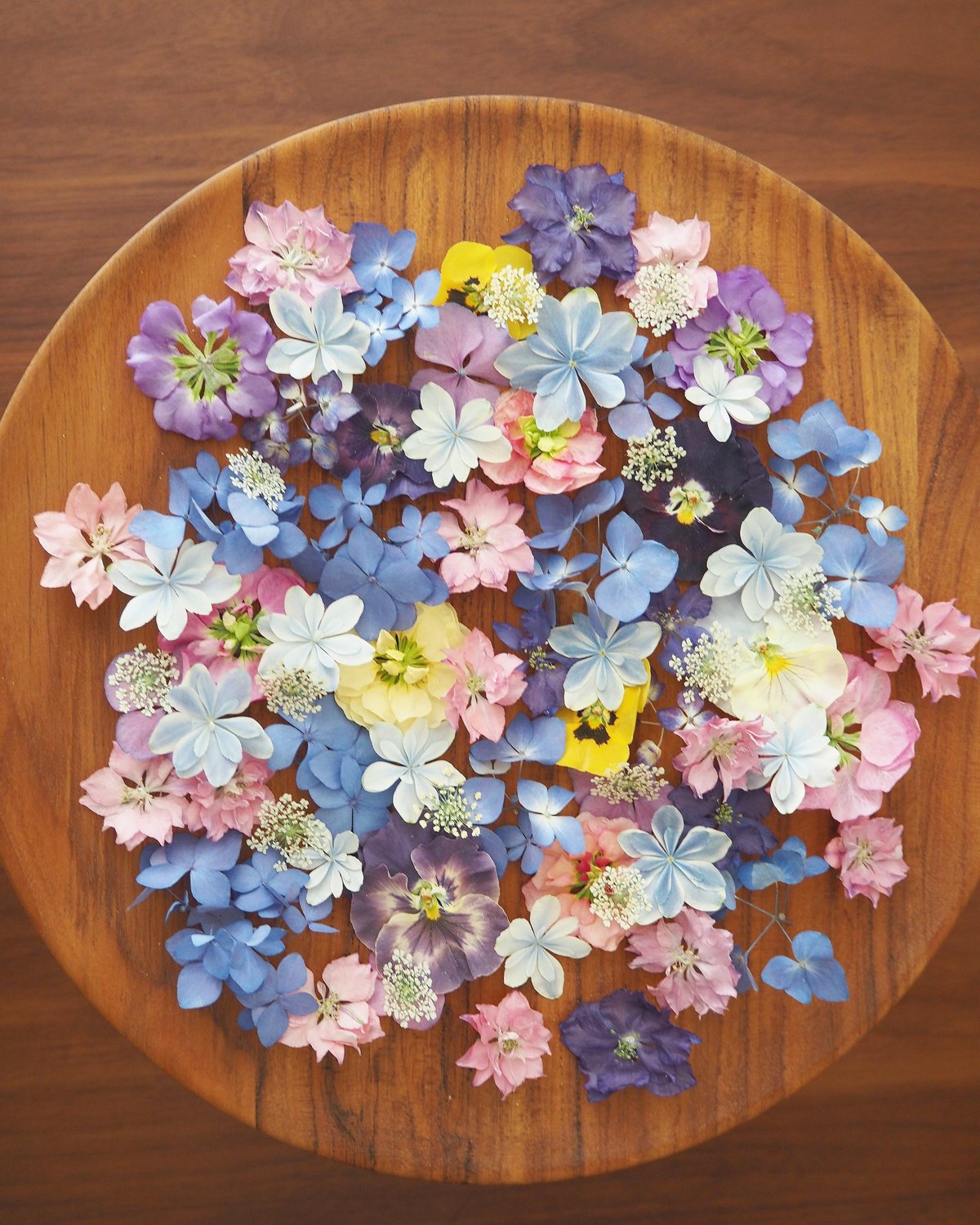 現品のご案内】ドライフラワー 花材セット（ミモザはオプション