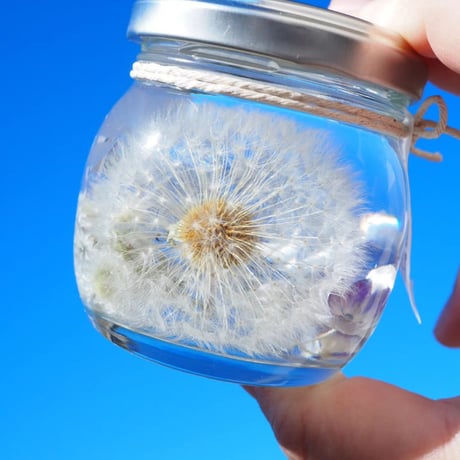 固まるハーバリウム | STORES