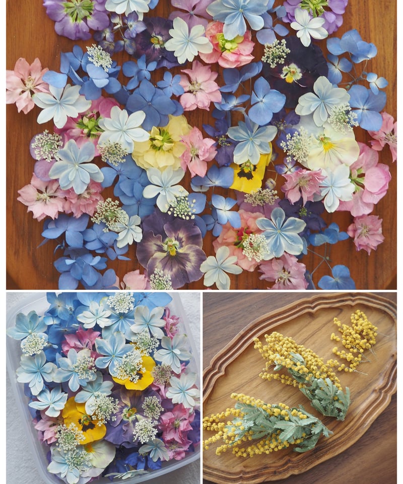 現品のご案内】ドライフラワー 花材セット（ミモザはオプション