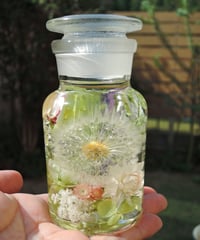 現品のご案内】バラのハーバリウム① | zelkova's aroma garden