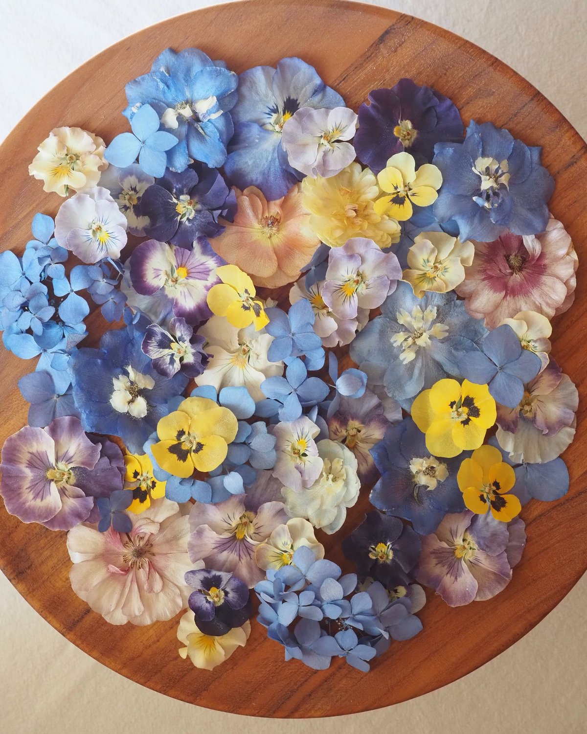 R.F様専用】ドライフラワー&押し花の花材セット | zelkova's