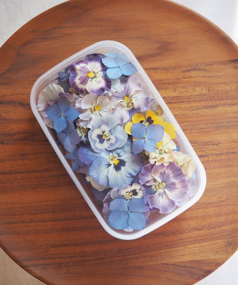 R.F様専用】ドライフラワー&押し花の花材セット | zelkova's aroma garden