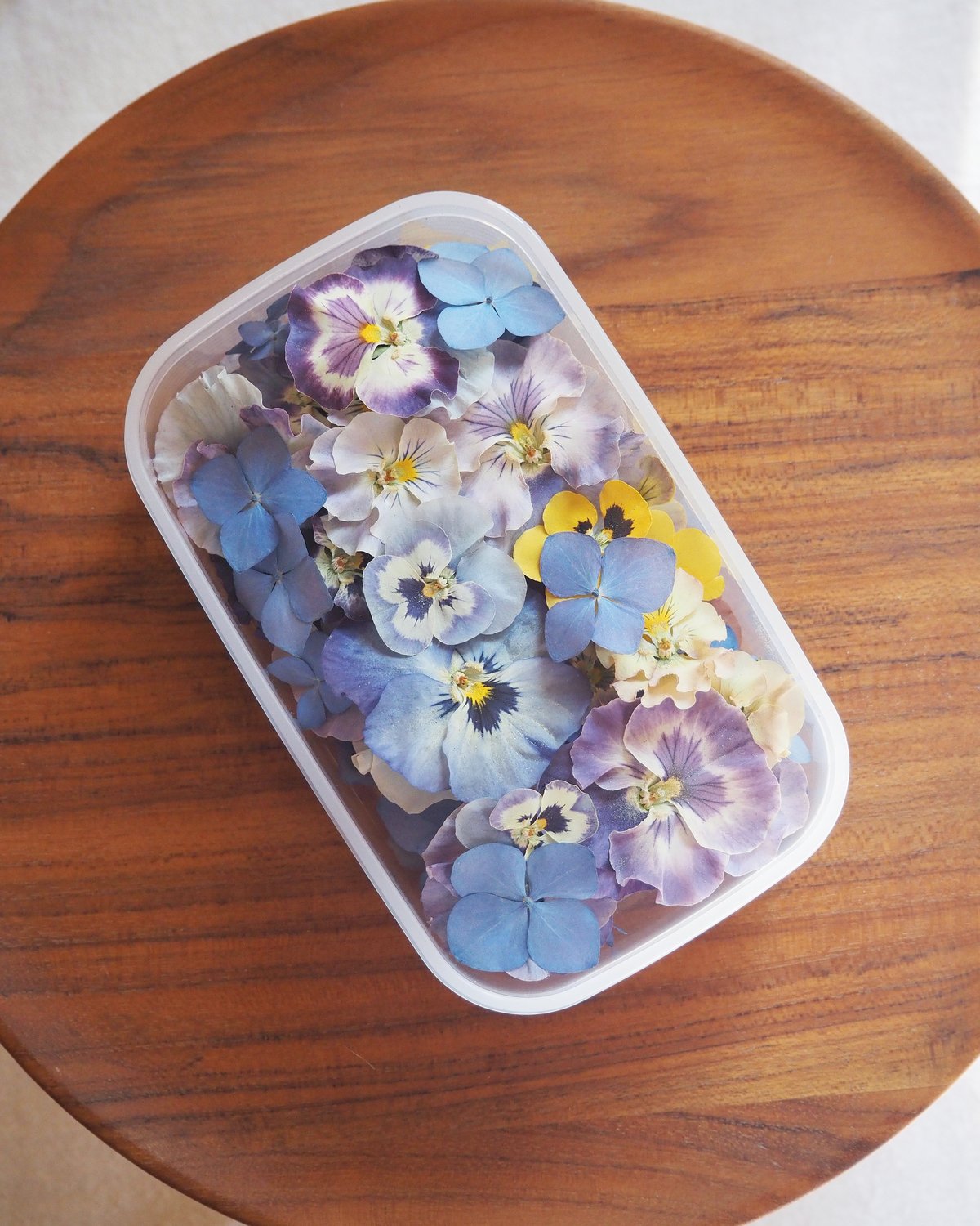 R.F様専用】ドライフラワー&押し花の花材セット | zelkova's aroma garden