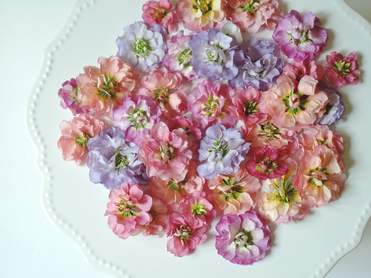 現品のご案内】花浮かび上がるボタニカルランタン＊藤色 | zelkova's