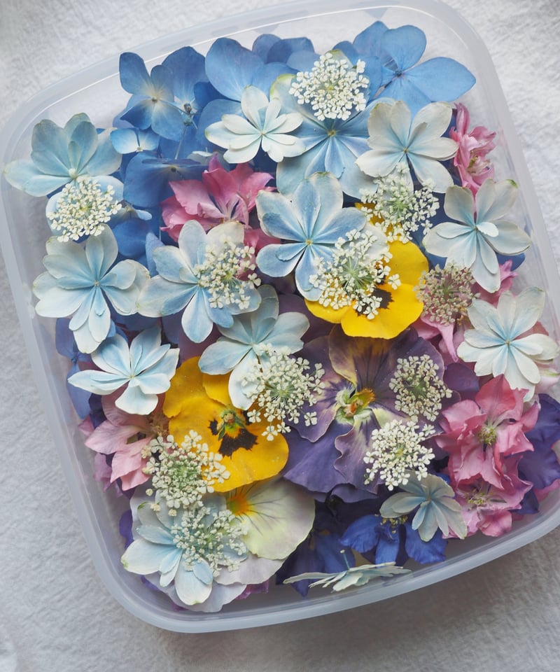 現品のご案内】ドライフラワー 花材セット（ミモザはオプション
