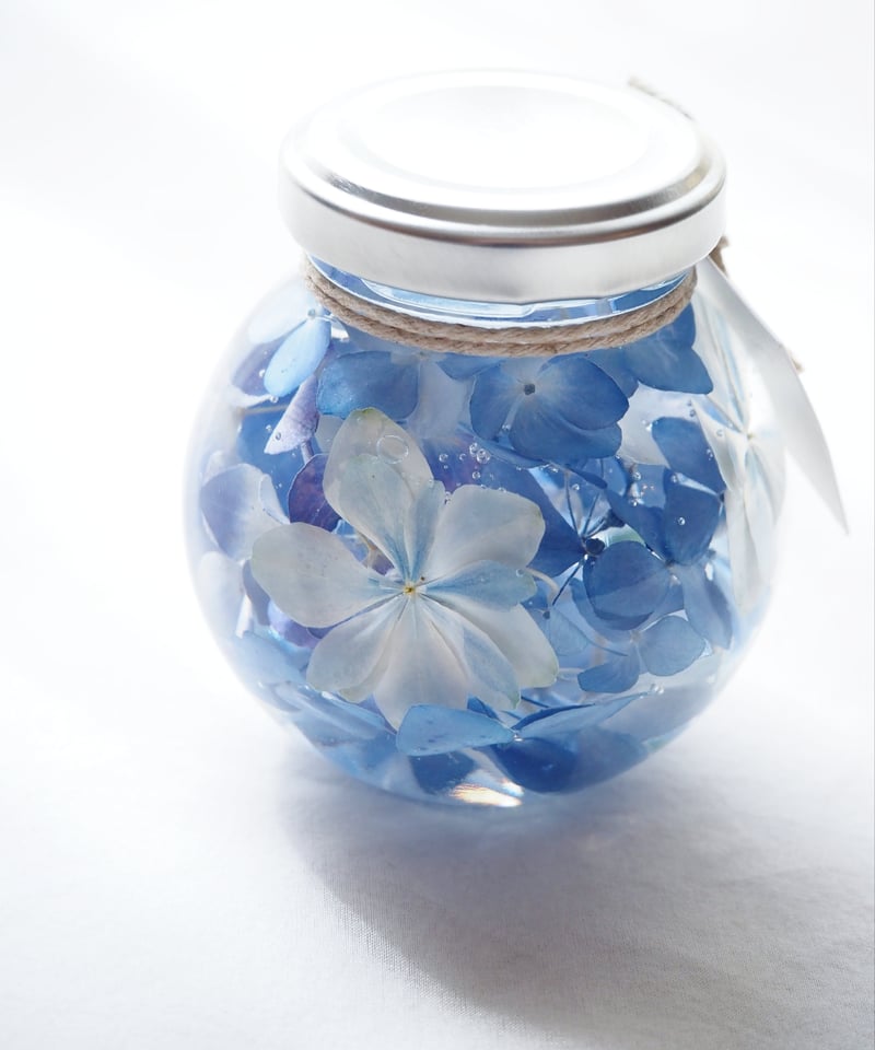 （14）ハーバリウム  春色  ビオラ ＊ショート＊ 紫陽花ハーバリウム＊紫陽花のみ | zelkova's aroma garden