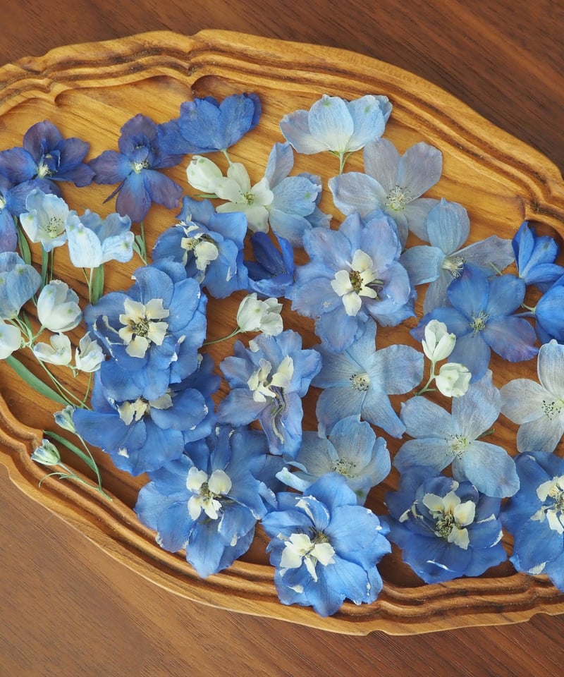 Y.T.様 専用】ドライフラワー＆押し花 花材セット | zelkova's aroma g