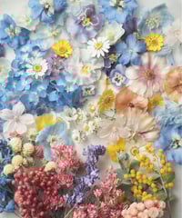 現品のご案内】色鮮やかな花材セット | zelkova's aroma garden