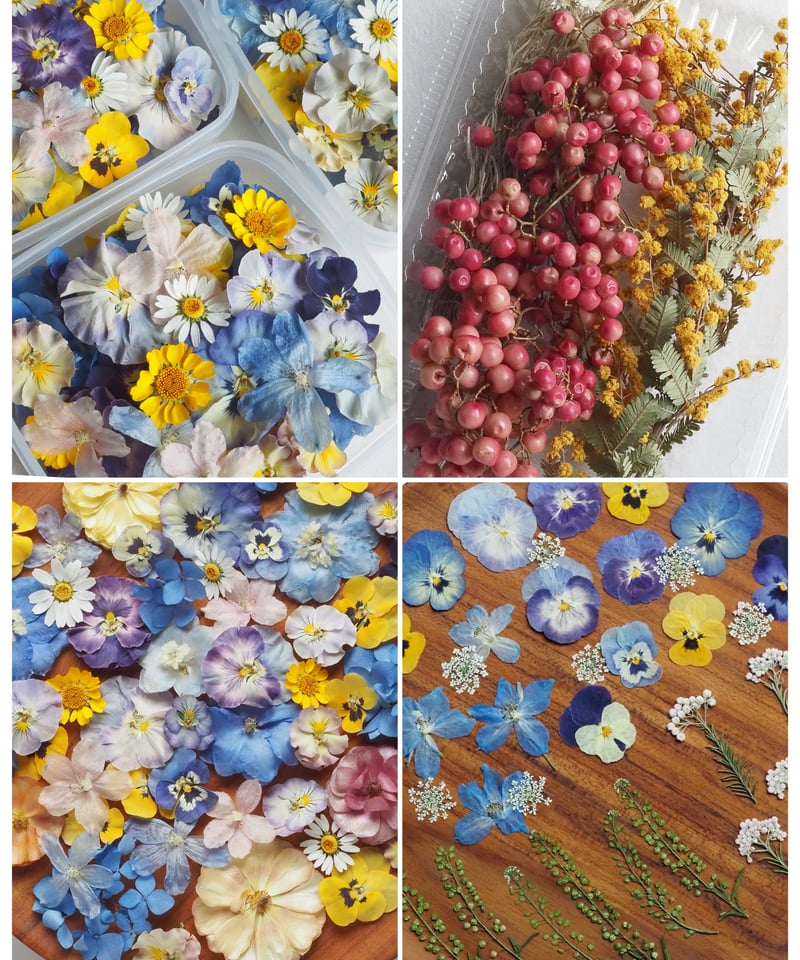 【最終値下げ】ドライフラワー 花材 セット 2870_9.jpg