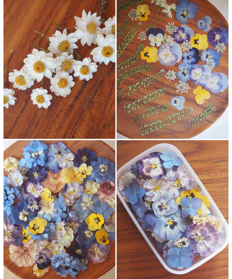 R.F様専用】ドライフラワー&押し花の花材セット | zelkova's aroma garden