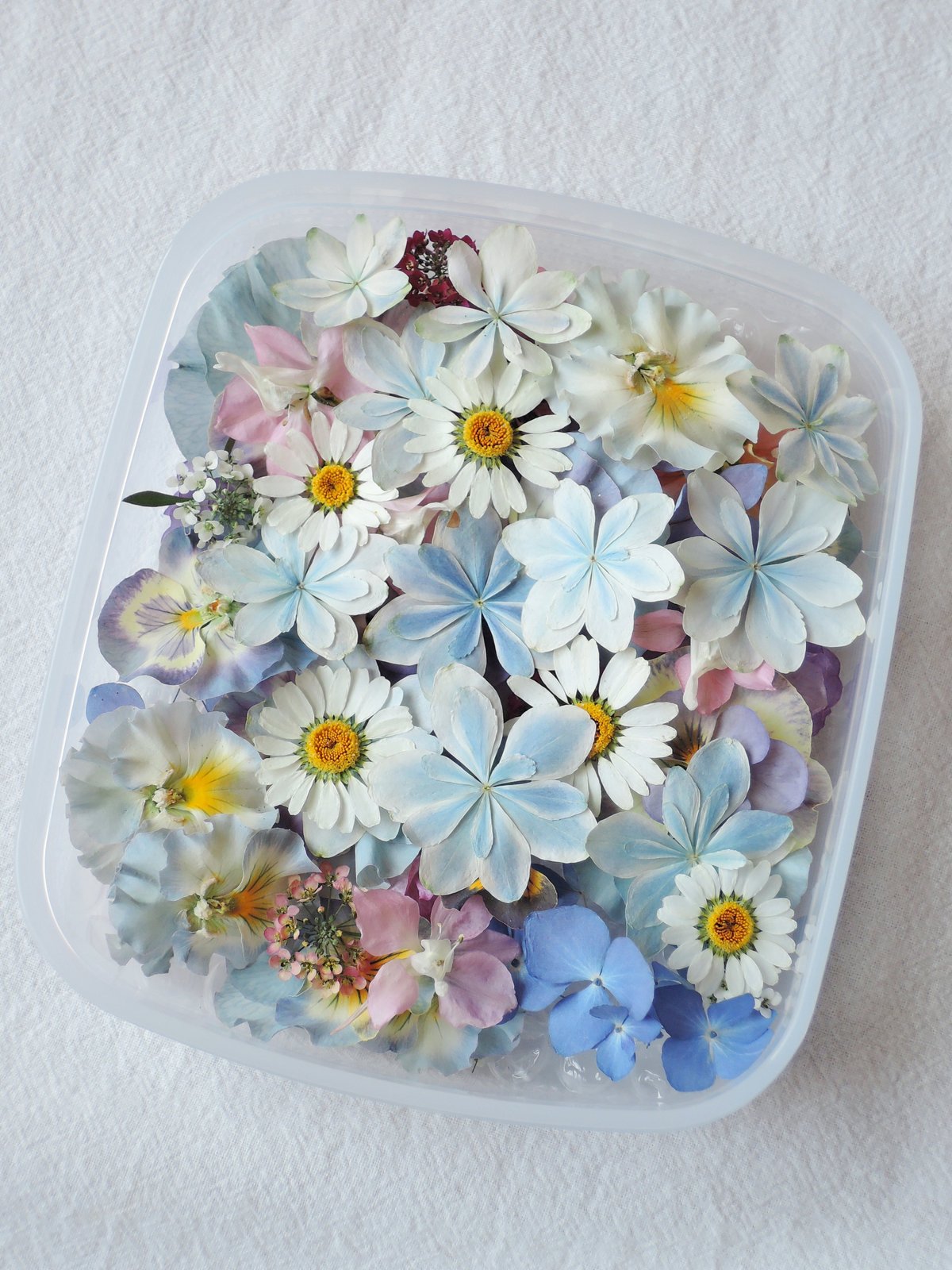 ①花材セット y-hanabishi_org-mtas01