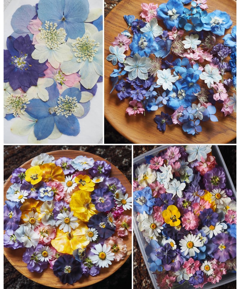 Decilyおでし様 Kさま専用］ドライフラワー＆押し花 花材セット