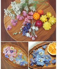 ドライフラワーの花材セット | zelkova's aroma garden