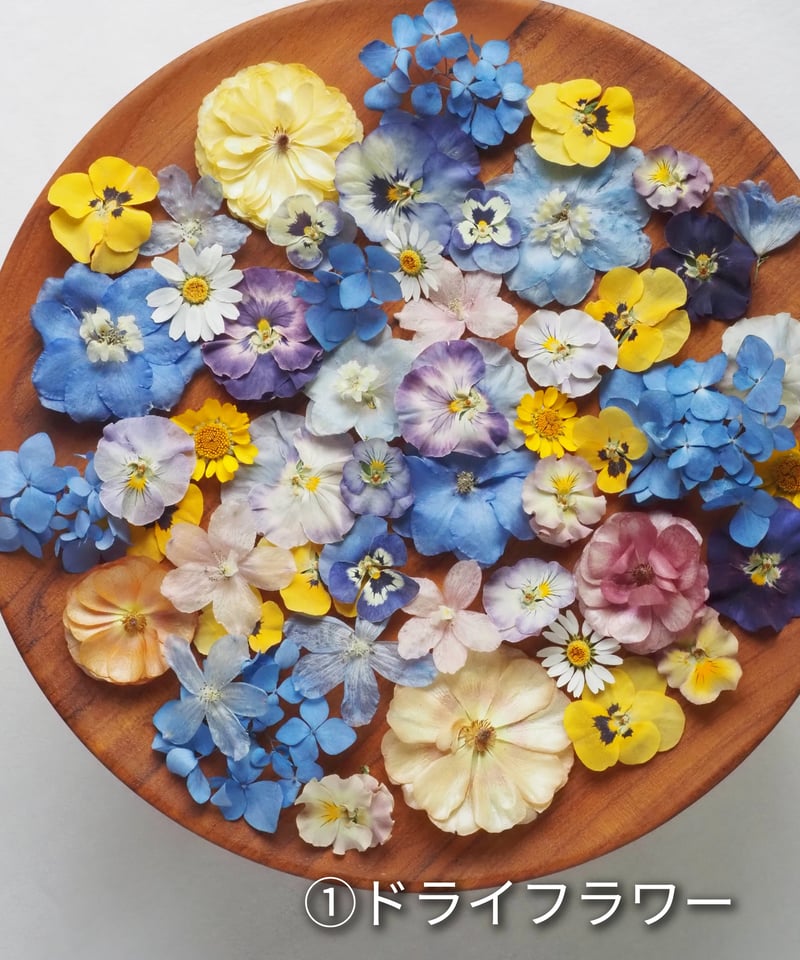 ドライフラワーの花材セット | zelkova's aroma garden