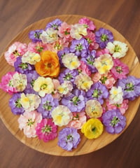 現品のご案内】もりもり花材セット① | zelkova's aroma garden