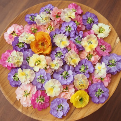 食品接触可能オイル使用♡固まるハーバリウムハートの皿パステル 食品