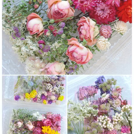 STORES プリザーブドフラワーの検索結果