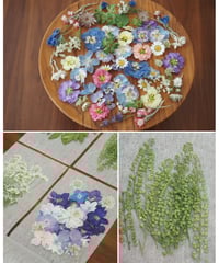 現品のご案内】色鮮やかな花材セット | zelkova's aroma garden