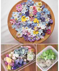 現品のご案内】色鮮やかな花材セット | zelkova's aroma garden