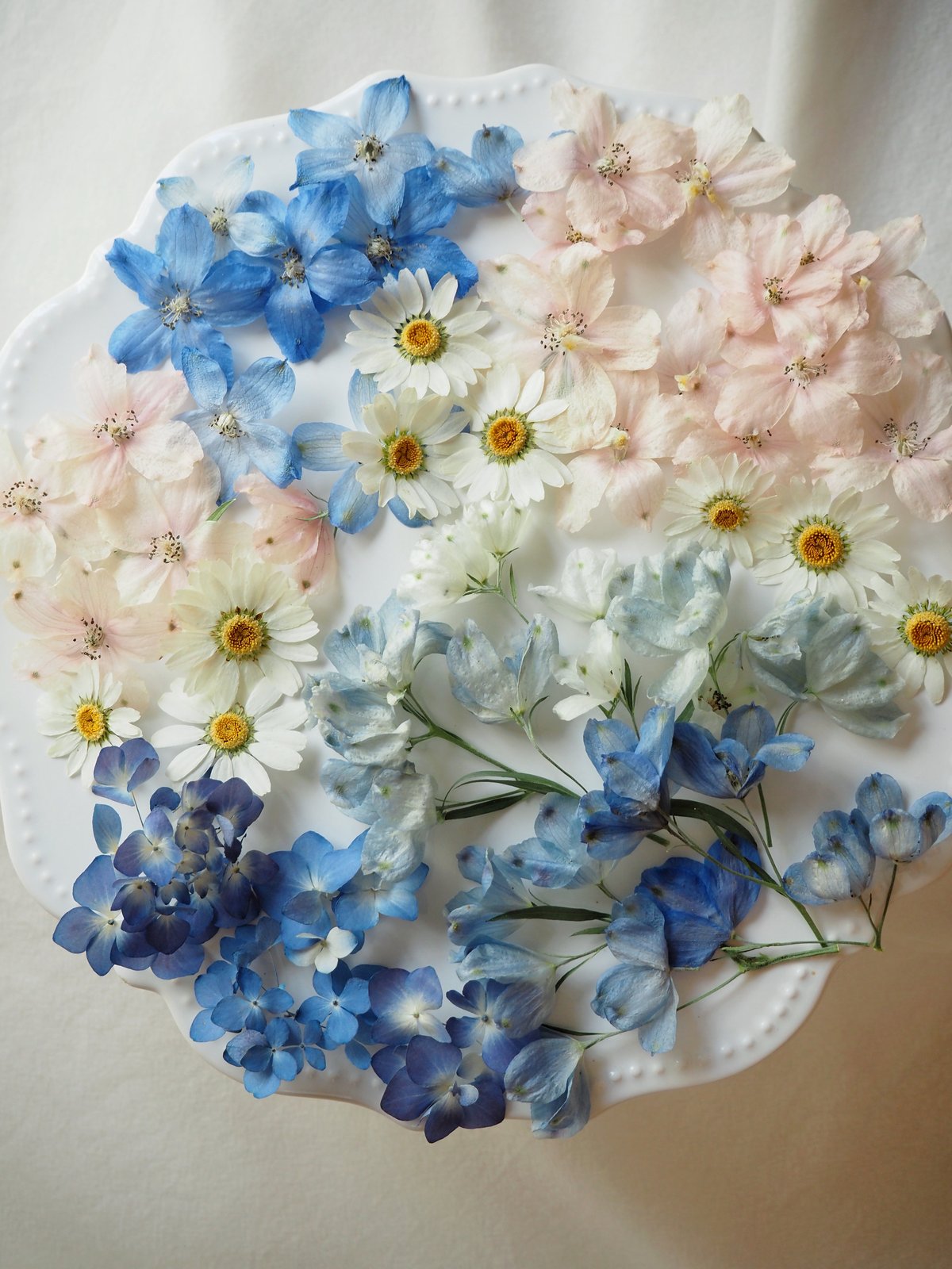 Decilyおでし様 特価】ドライフラワー 花材セット | zelkova's aroma