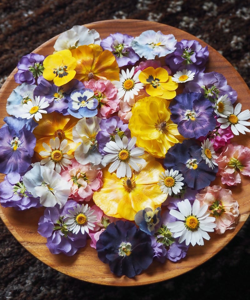 Decilyおでし様 Kさま専用］ドライフラワー＆押し花 花材セット
