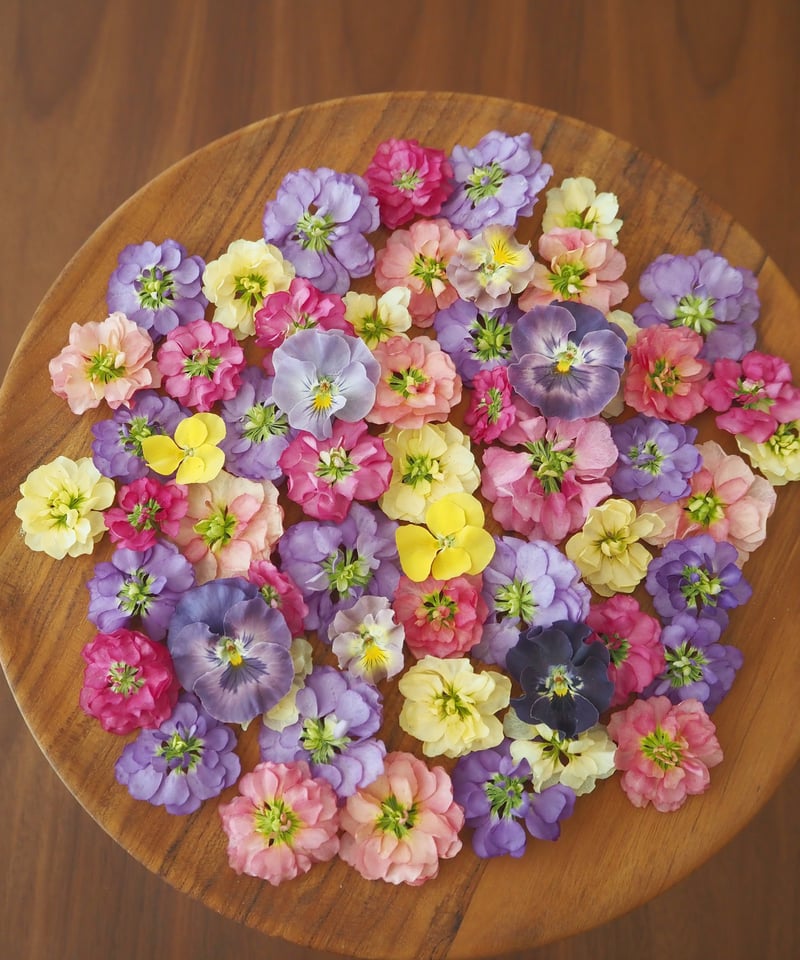 押し花・ドライフラワー花材 harmo29 Y.T.様 専用】ドライフラワー＆押し花 花材セット | zelkova's aroma g