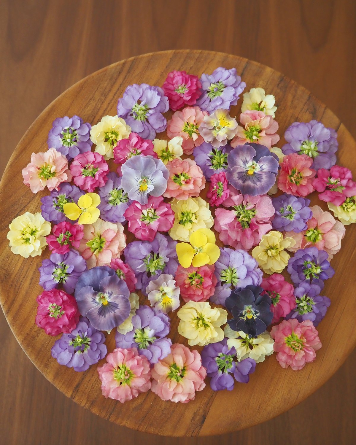 Y.T.様 専用】ドライフラワー＆押し花 花材セット | zelkova's