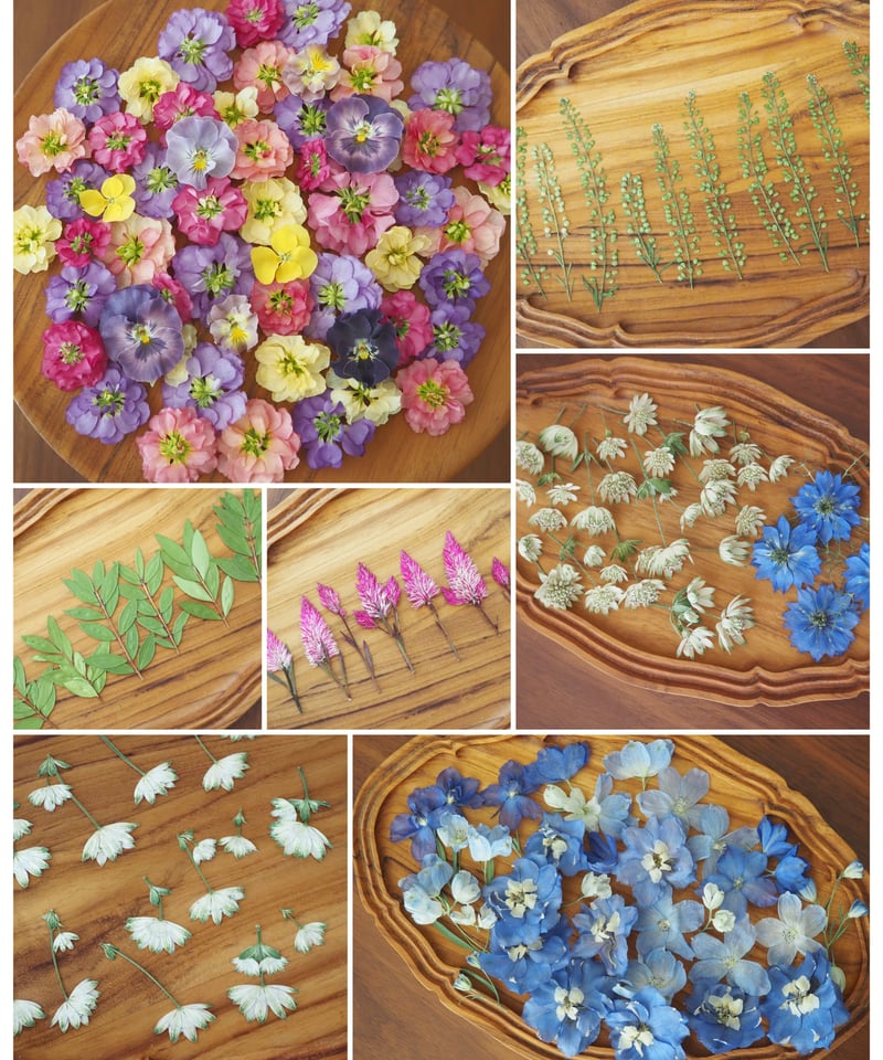 Y.T.様 専用】ドライフラワー＆押し花 花材セット | zelkova's aroma g