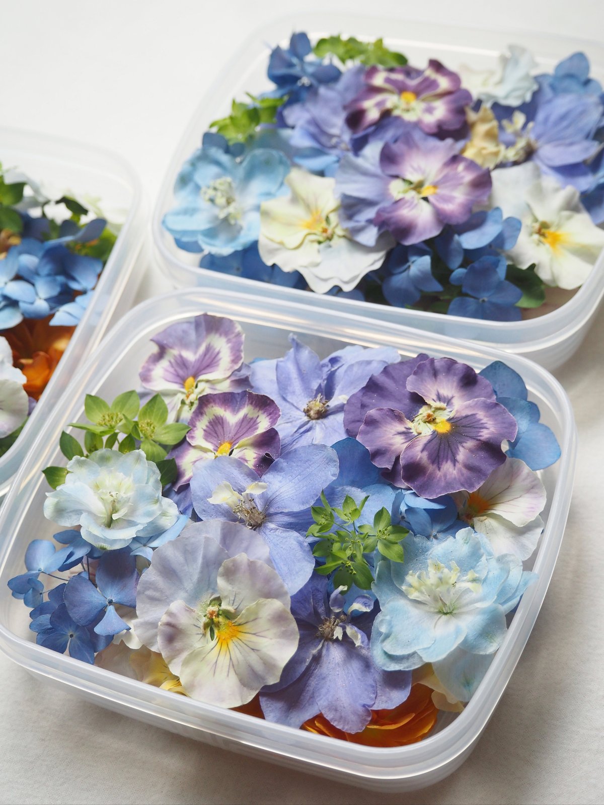 わか ドライフラワー・花材set おまかせドライフラワー花材セット （3種からお選びください