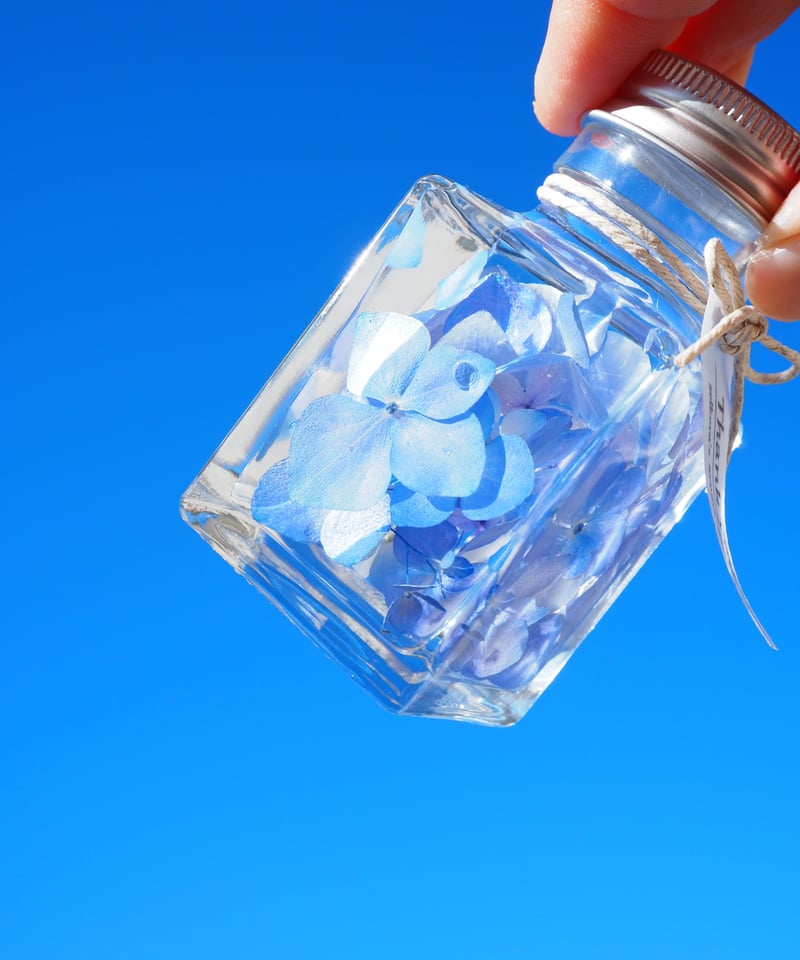 青色紫陽花の固まるハーバリウム | zelkova's aroma garden