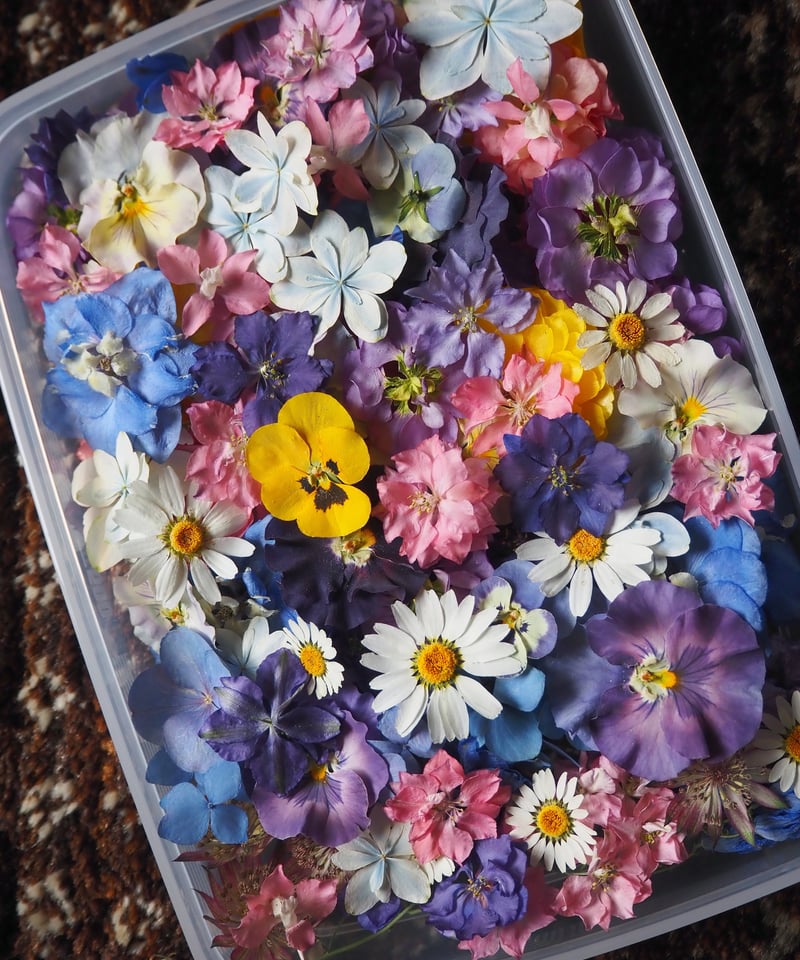 Decilyおでし様 Kさま専用］ドライフラワー＆押し花 花材セット
