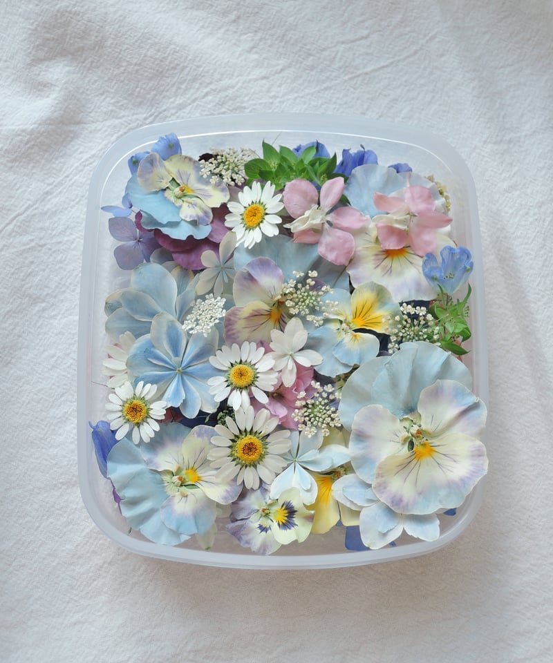 現品のご案内】もりもり花材セット① | zelkova's aroma garden