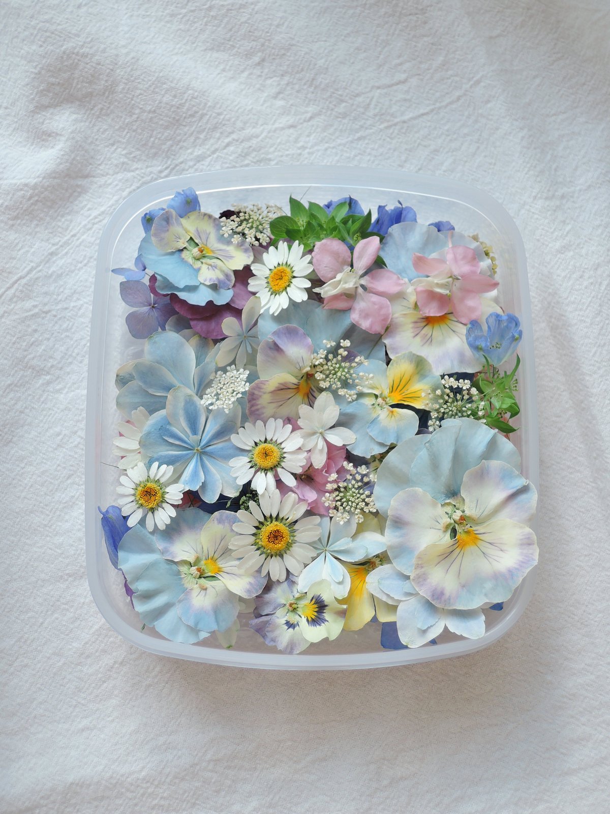 R様 リクエスト 花材　まとめ商品 sunflower様 リクエスト 2点 まとめ商品 sunflower様 リクエスト 2点