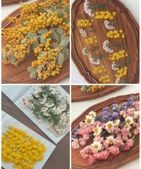 moon様 専用】ドライフラワー&押し花 花材セット | zelkova's aroma g