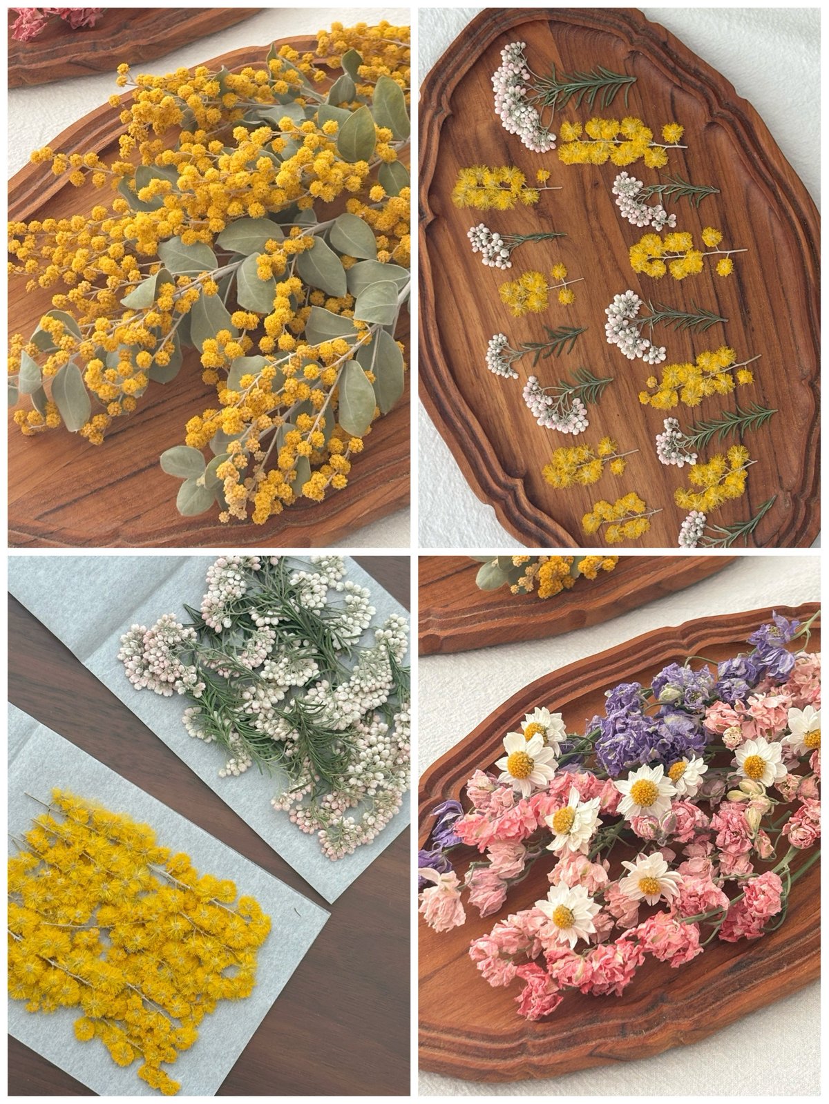 J様 専用】ドライフラワー&押し花の花材セット | zelkova's aroma garden
