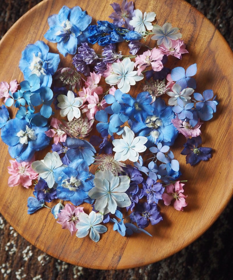 Decilyおでし様 Kさま専用］ドライフラワー＆押し花 花材セット