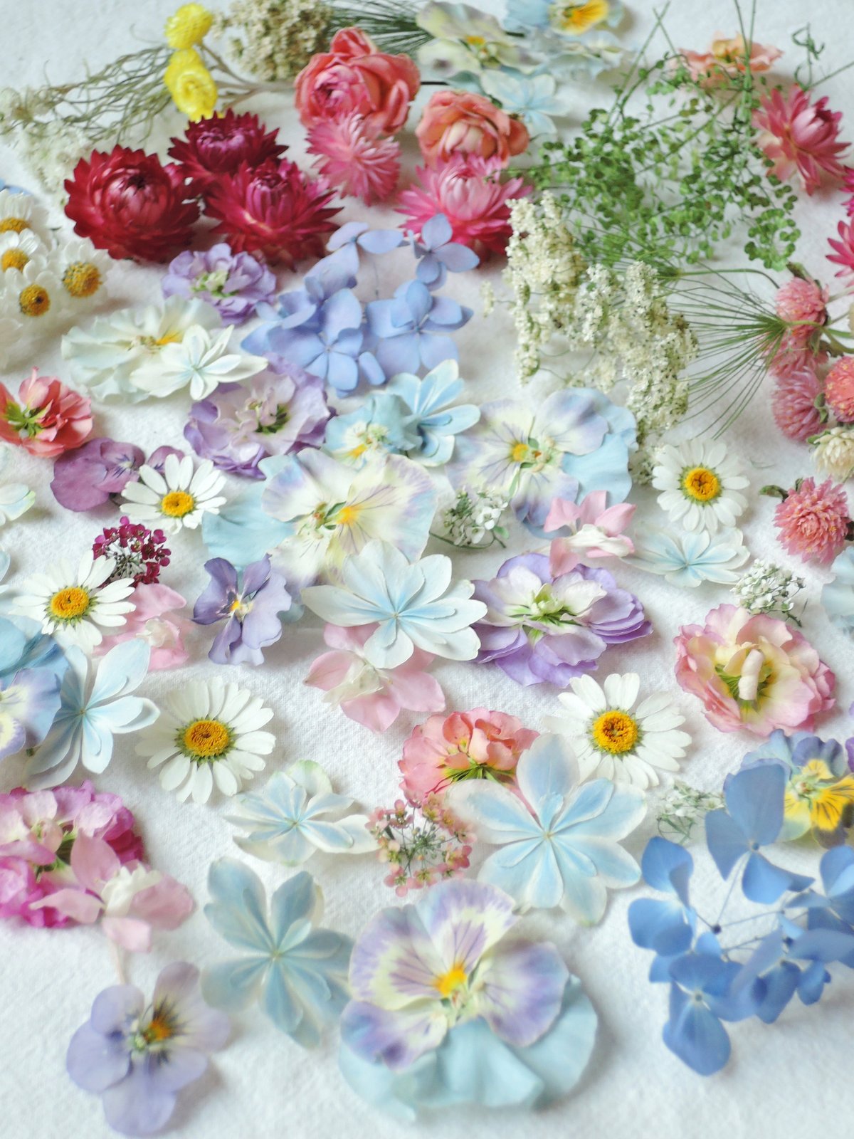 在庫整理❣️爆盛り‼️ドライ　花材　長め 在庫整理❣️爆盛り‼️ドライ 花材 長め ドライフラワー