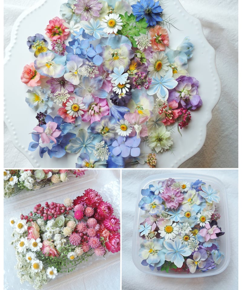 Barbara Mock 花と食器の静物画 金色フレーム 置くだけで美しい風景が生まれる、ガラス作家 奥泰我のフラワー