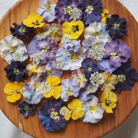 固まるハーバリウム | STORES