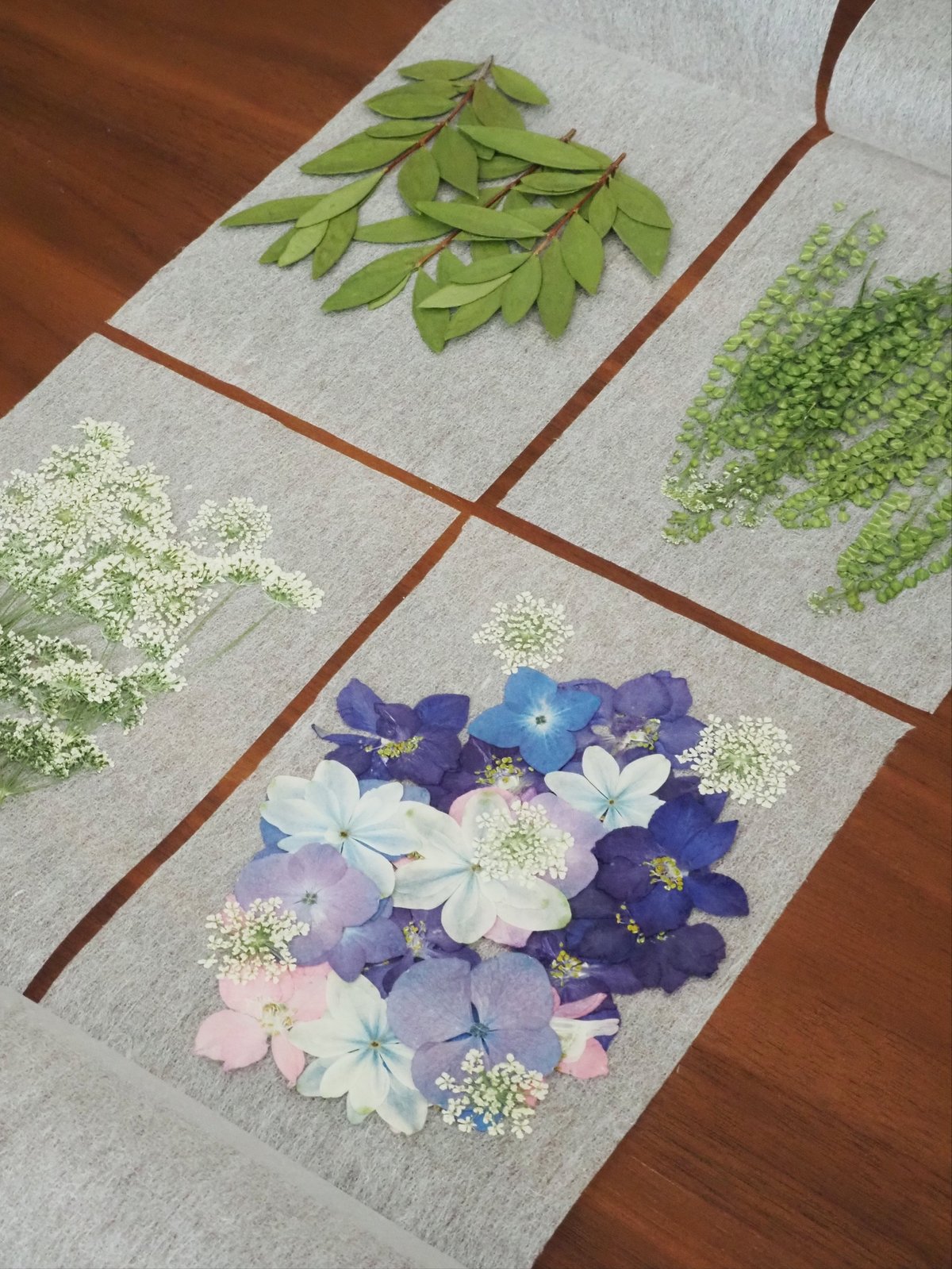 moon様 専用】ドライフラワー&押し花 花材セット | zelkova's aroma g