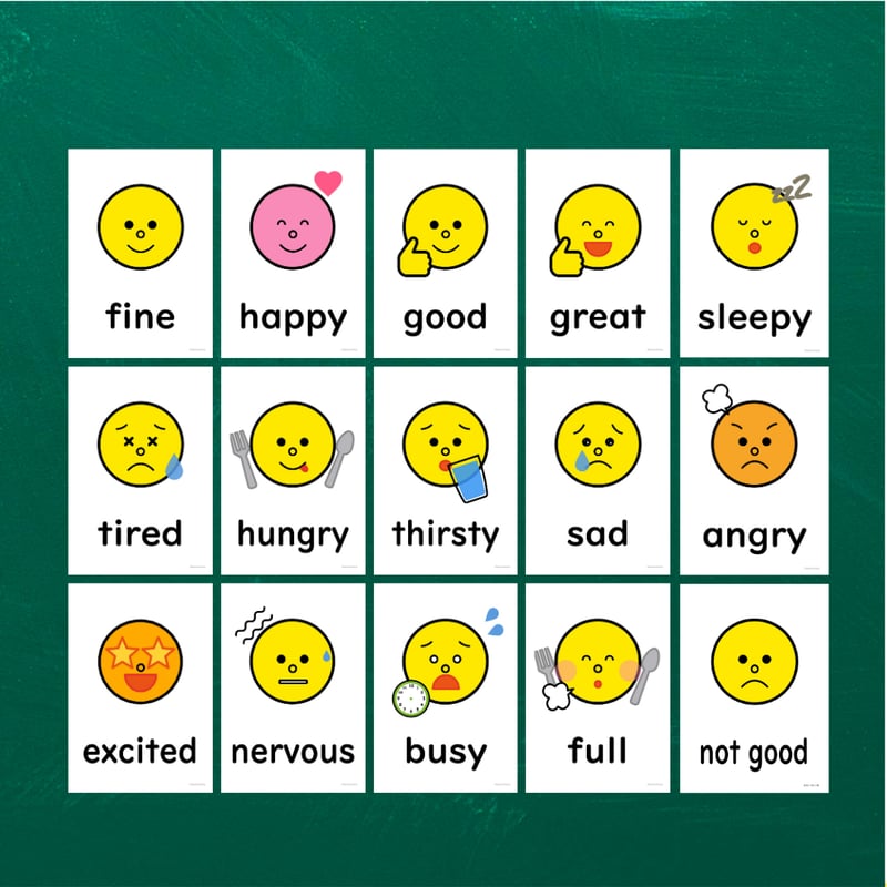 絵カード〈Feelings Flashcard 気持ちのピクチャーカード