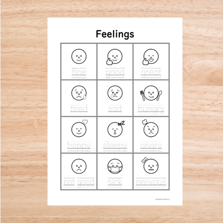 まるごとセット〈Feelings まるごと教材【５点】セット〉