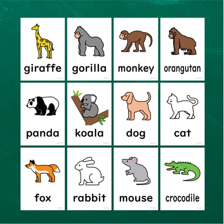 絵カード〈『New Horizon５・６』完全対応◎  Animals Flashcards② 動物ピクチャーカード〉 12pages