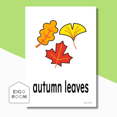 絵カード〈『Here We Go!５』完全対応◎  Nature Flashcards②自然ピクチャーカード〉 ７pages