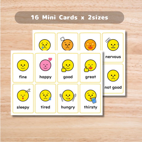 ミニカード〈Feelings Mini Cards 感情・気持ちミニーカード１６種類〉 ２sets