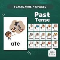 絵カード〈Past Tense Flashcards したこと・過去形ピクチャーカード〉 １６pages