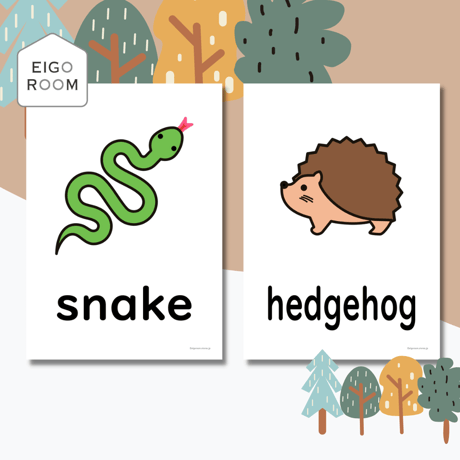 絵カード〈Forest Animals Flashcards 森の動物ピクチャーカード〉 １２pages