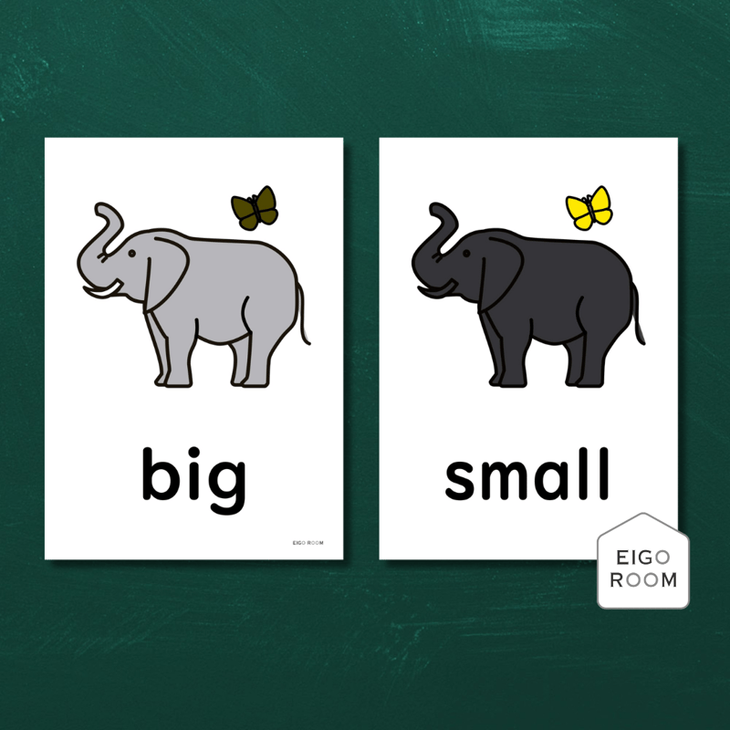 絵カード〈『Blue Sky5・6』完全対応◎ Adjectives Flashcards